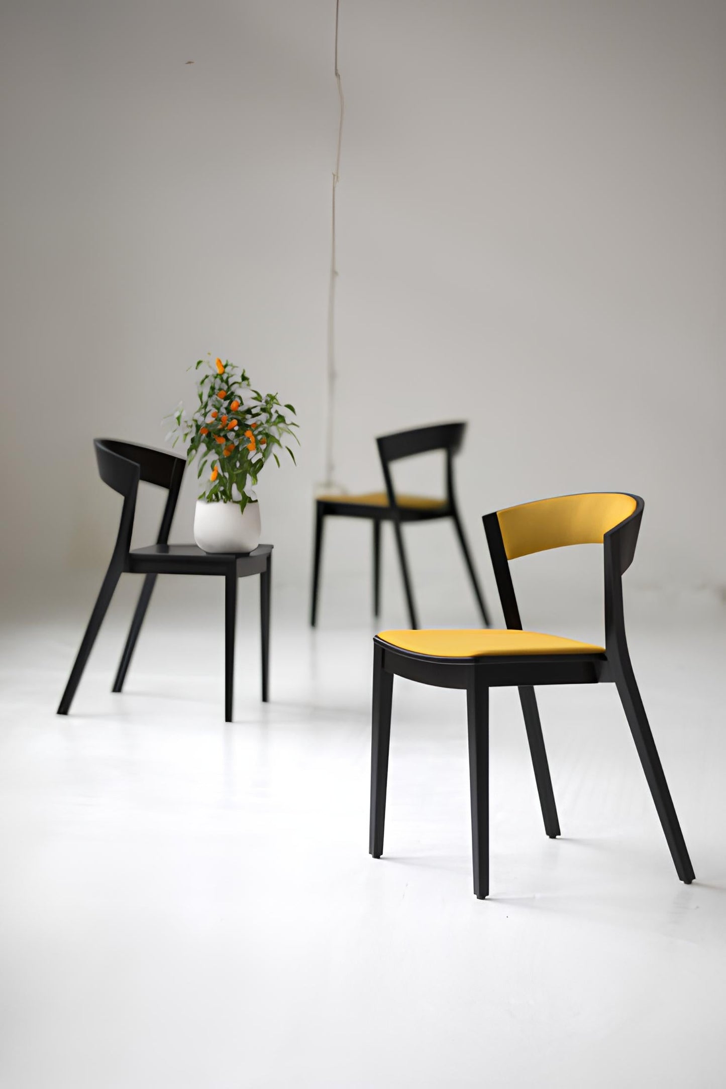 Koka krēsls ARC 78/54/47 cm - N1 Home