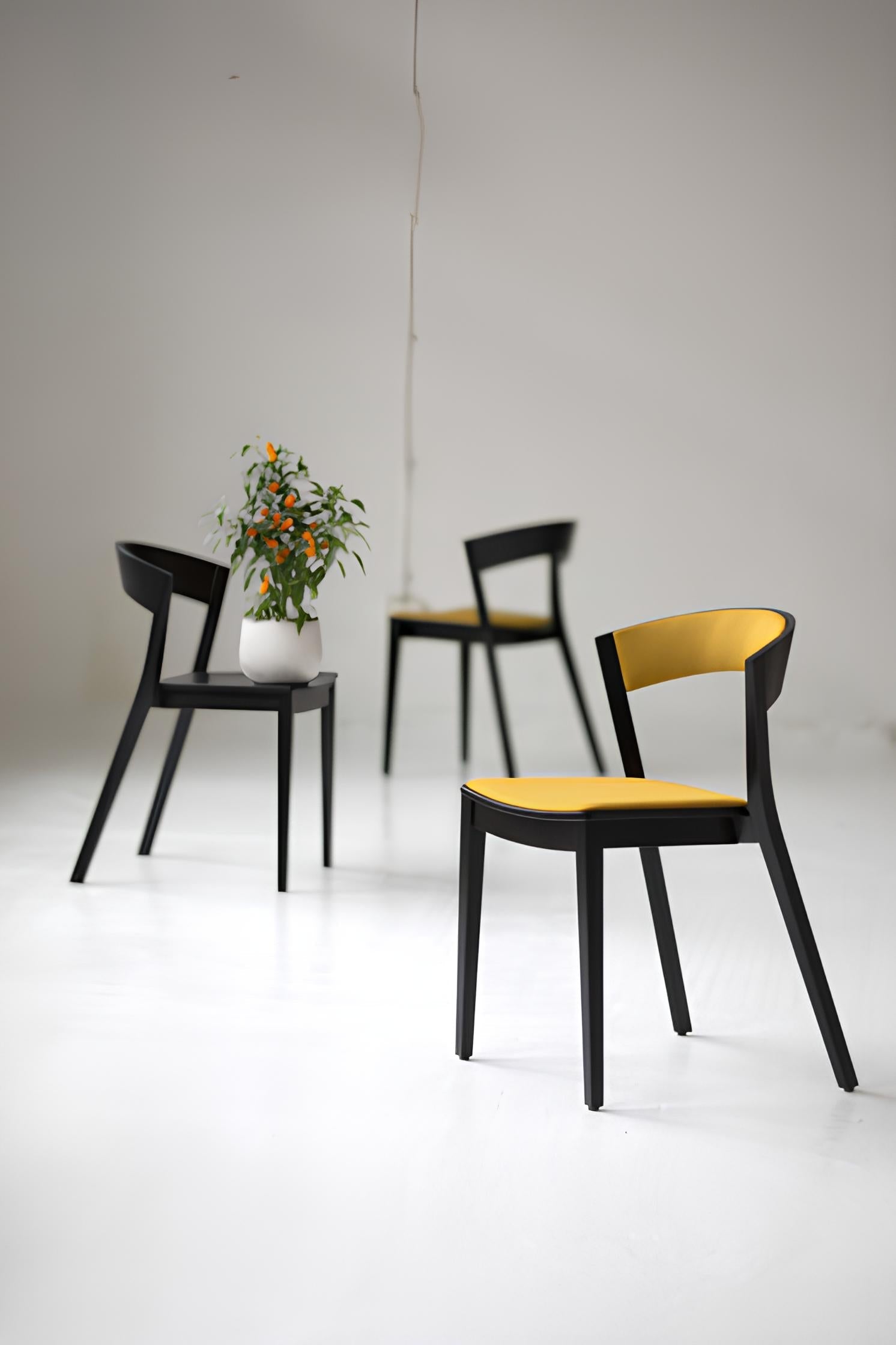 Koka krēsls ARC 78/54/47 cm - N1 Home