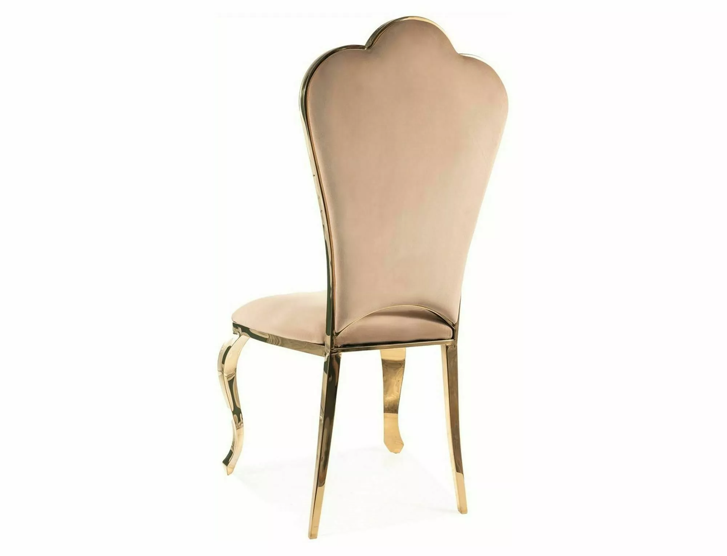 Krēsls GAMBIT I 46/49/42 bēšs - N1 Home