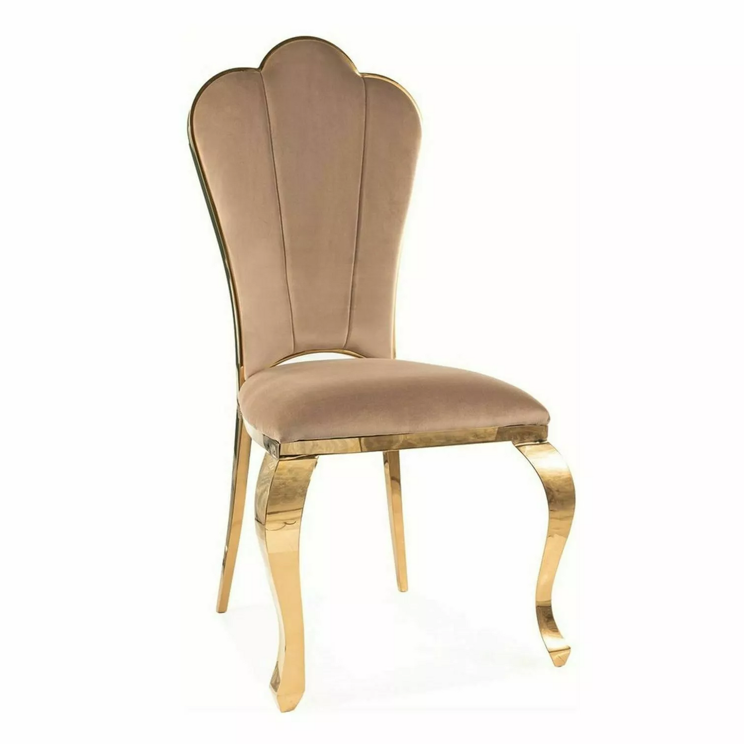 Krēsls GAMBIT I 46/49/42 bēšs - N1 Home